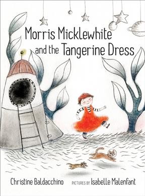 Morris Micklewhite and the tangerine dress / Christine Baldacchino ; pictures by Isabelle Malenfant.