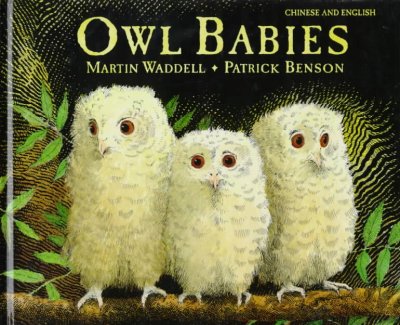 Owl babies Martin Waddell; Patrick Benson (ill.)