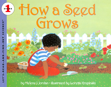 How a seed grows / Helene J. Jordan ; illustrated by Loretta Krupinski.