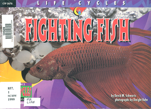 Life cycles :  fighting fish / David M. Schwartz ; photographed by Dwight Kuhn.