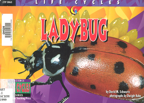 Life cycles :  ladybug / David M. Schwartz ; photographs by Dwight Kuhn.