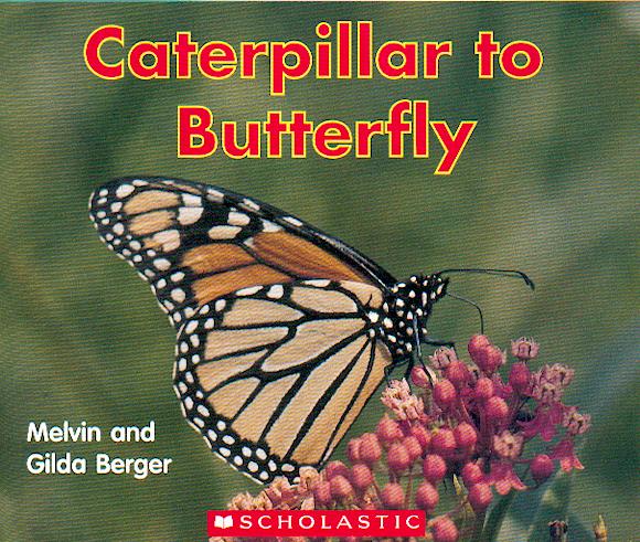 Caterpillar to butterfly / Melvin and Gilda Berger.
