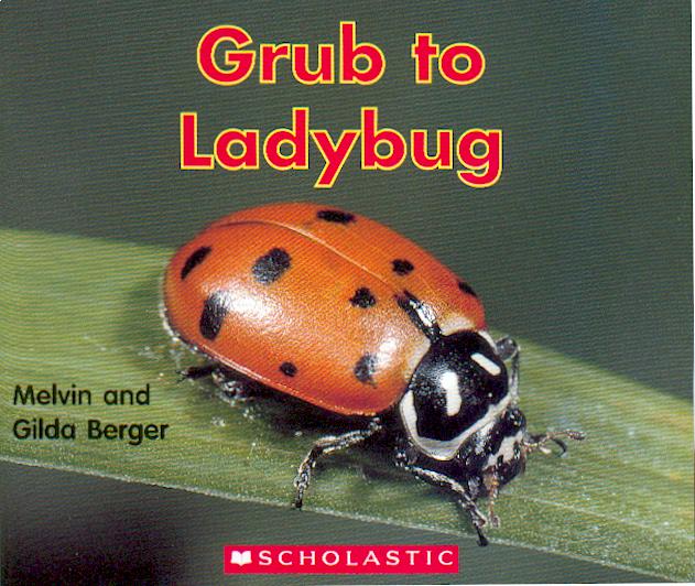 Grub to ladybug / Melvin and Gilda Berger.