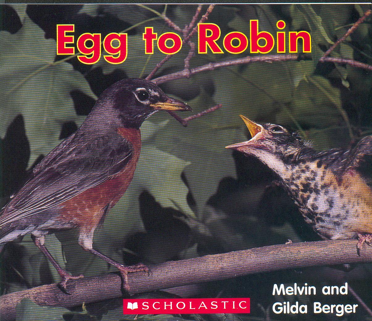 Egg to robin / Melvin and Gilda Berger.