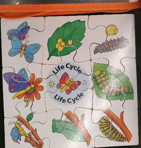 Life cycle : butterfly [puzzle].
