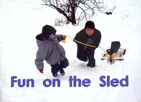 Fun on the sled / Lorraine Adams, Lynn Bruvold