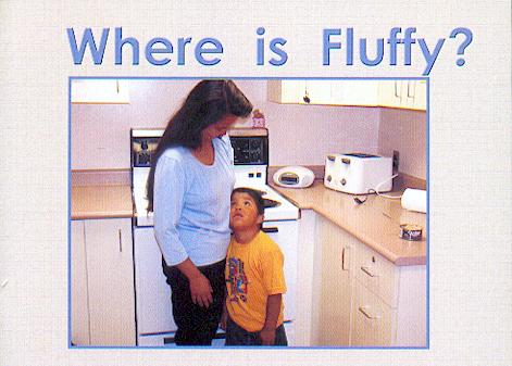 Where is Fluffy? / Lorraine Adams, Lynn Bruvold