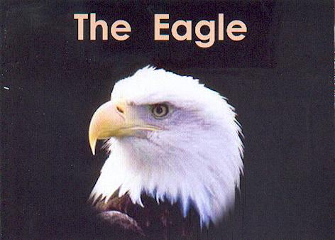 The eagle / Lorraine Adams, Lynn Bruvold