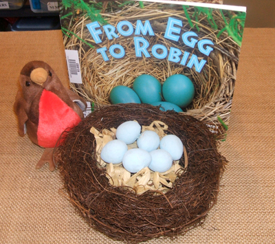 From egg to robin [story kit] / based on the book by Susan Canizares and Betsey Chessen.