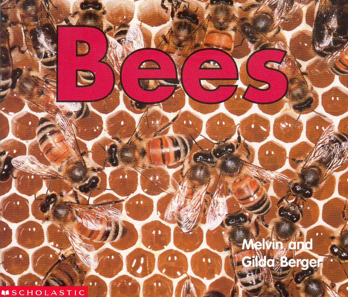 Bees / Melvin and Gilda Berger.
