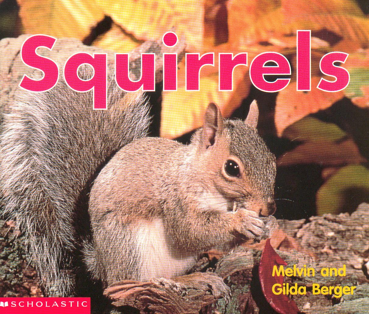 Squirrels / Melvin and Gilda Berger.
