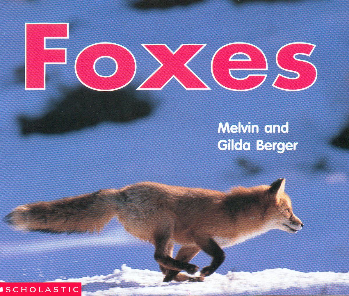 Foxes / Melvin and Gilda Berger.