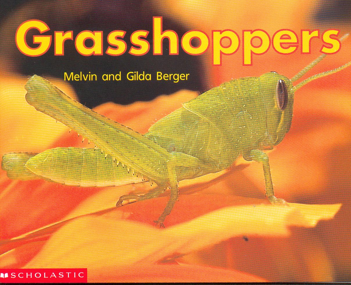 Grasshoppers / Melvin and Gilda Berger.