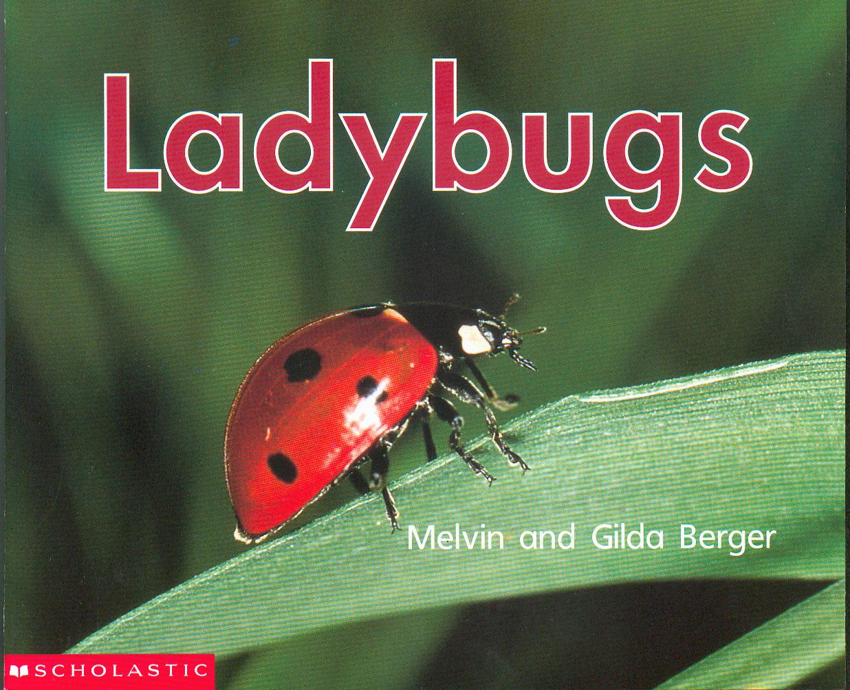 Ladybugs / Melvin and Gilda Berger.