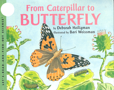 From caterpillar to butterfly / Deborah Heiligman ; illustrated by Bari Weissman.