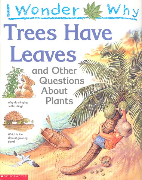 I wonder why trees have leaves and other questions about plants / Andrew Charman.