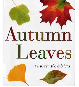 Autumn leaves / Ken Robbins.