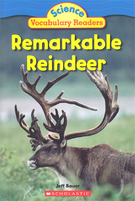 Remarkable reindeer Jeff Bauer