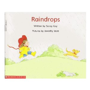 Raindrops / Sandy Gay ; illustrated by Dorothy Stott.