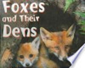 Foxes and their dens Martha E. H. Rustad