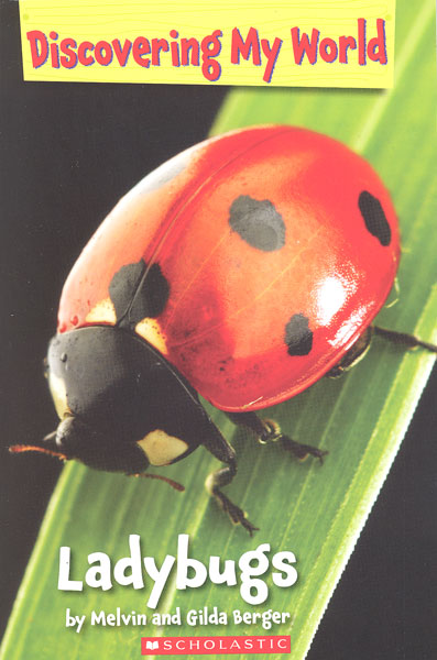 Ladybugs / Melvin and Gilda Berger.