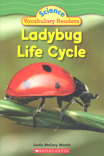 Ladybug life cycle Justin McCory Martin