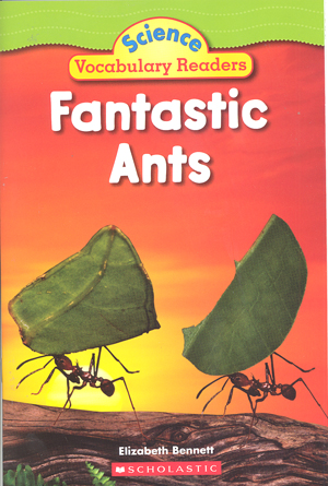 Fantastic ants Elizabeth Bennett