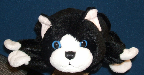 Cat [hand puppet] : black with white feet