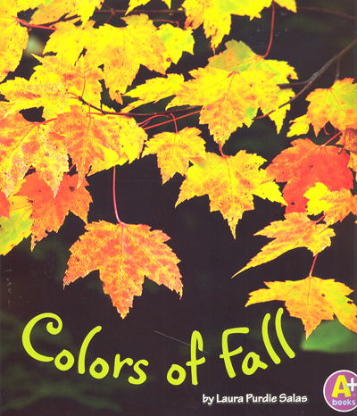 Colors of fall / Laura Purdie Salas.