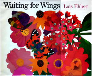 Waiting for wings / Lois Ehlert.