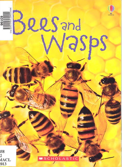 Bees and wasps James Maclaine John francis and Kimberley Scott (ill.)