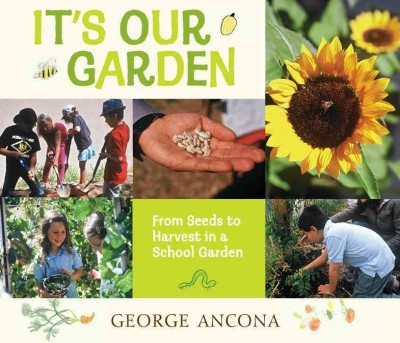 It's our garden George Ancona