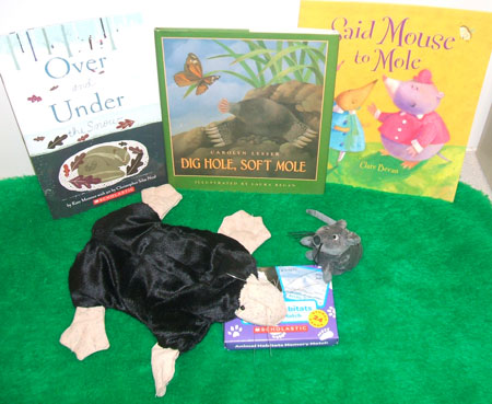 Dig hole, soft mole [story kit]  / based on the book by Carolyn Lesser ; illustrated by Laura Regan.