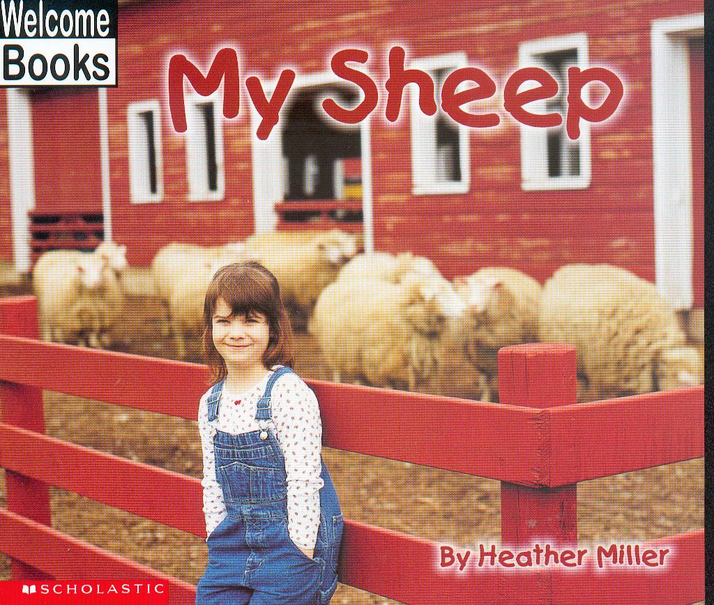 My sheep Heather Miller