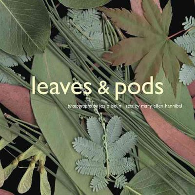 Leaves and pods / Mary Ellen Hannibal ; photographs by Josie Iselin.