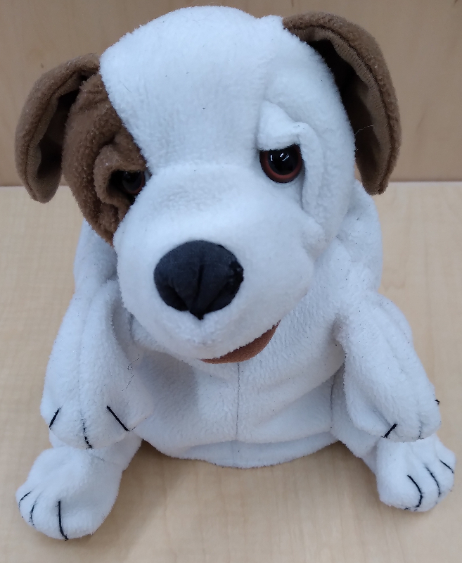 Small dog [puppet] : beagle
