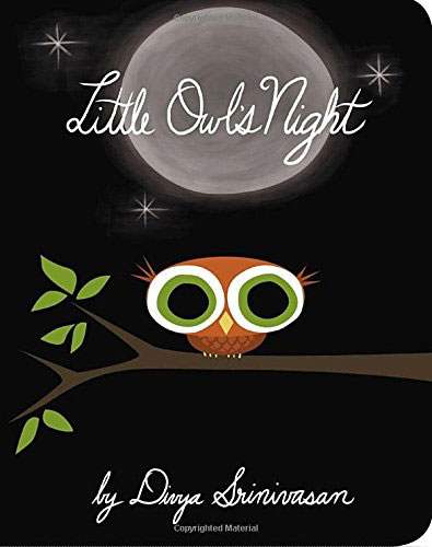 Little Owl's night / [written and illustrated] by Divya Srinivasan.