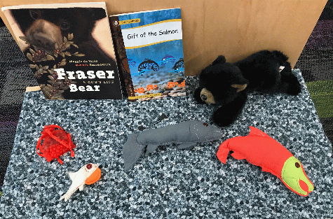 Fraser bear : a cub's life [story kit] / Maggie de Vries ; illustrated by Renne Benoit.