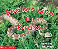 Snakes live in grass