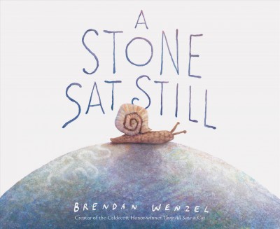 A stone sat still / Brendan Wenzel.