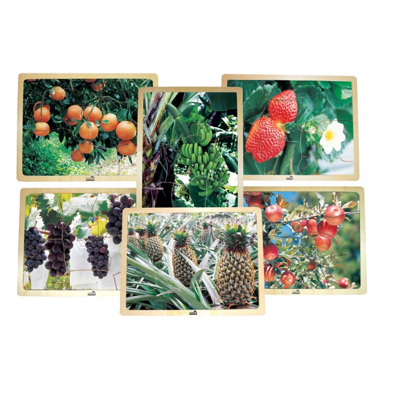 Tropical Fruit-3 Healthy Eating Fruit Puzzles[wooden puzzle]