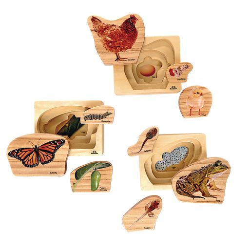 Butterfly : layered life cycle puzzle earlySTEM