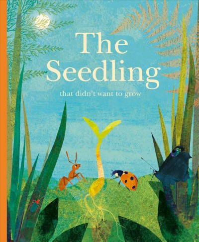 The Seedling: that didn't want to grow