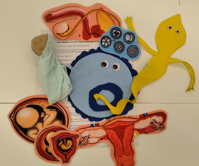 What makes a baby : a feltboard story adaptation / adapted by Emily Corley.