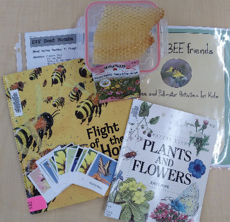 Pollinators and Plants [STEAM KIT]