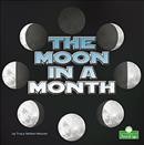 The moon in a month /  Tracy Nelson Maurer.