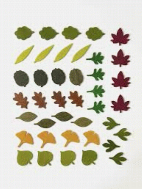 Woodland Leaves for Little Botanists [dramatic play set]