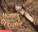Go to record Homes in the ground