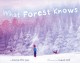 What Forest knows  Cover Image