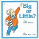 Big or little?  Cover Image